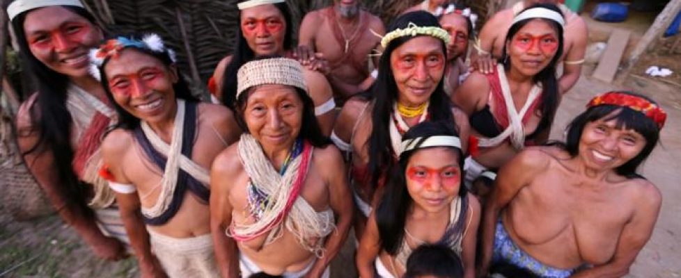 Amazonas: Waorani Guardianas de la Amazonía